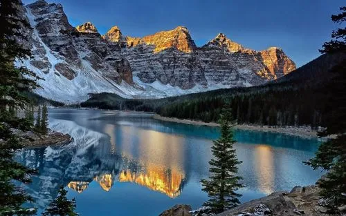 绿色独特高质量